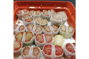 多肉植物扦插繁殖