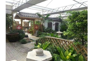 青州千卉千姿多肉植物繁育中心