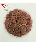 番杏科生石花010